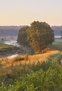 Тут все моё, и я отсюда родом
