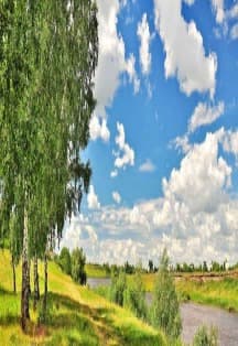 Путешествие по родному краю