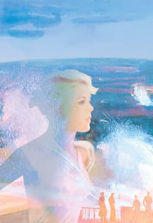 Белая акация