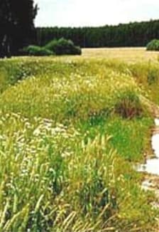 Мордовия – маленькая частичка большой страны. Квиз