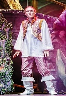 Иван-царевич. Ю.Ким, Г.Гладков. Музыкальная сказка