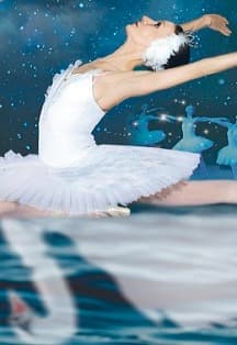 Лебединое озеро