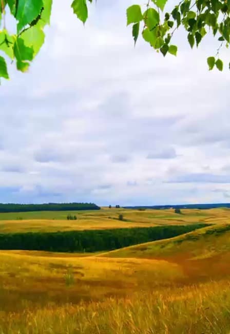 Люби и знай свой край родной. Краеведческий час