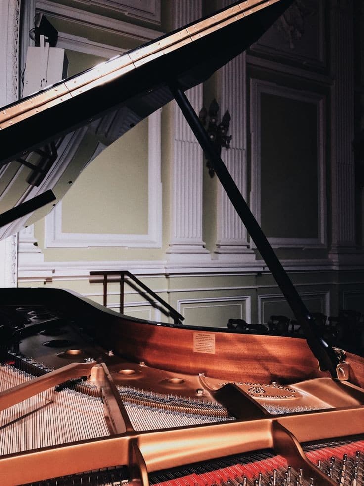 Музыка жизни