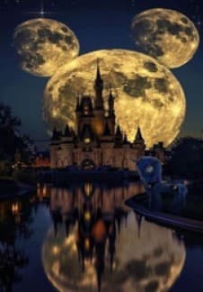 Сказочный мир Диснея