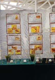 Капсула времени. Выставка