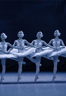 Душа балета. Интеллектуально-развлекательная программа