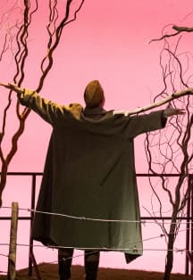 Зори здесь тихие