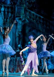 Спящая красавица