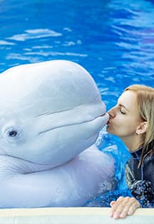 Плавание с китами