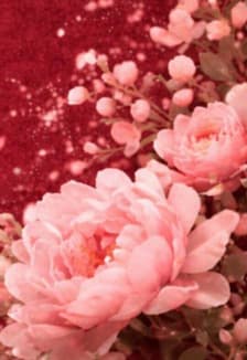 Весенняя лекция "Мода и Цветы"