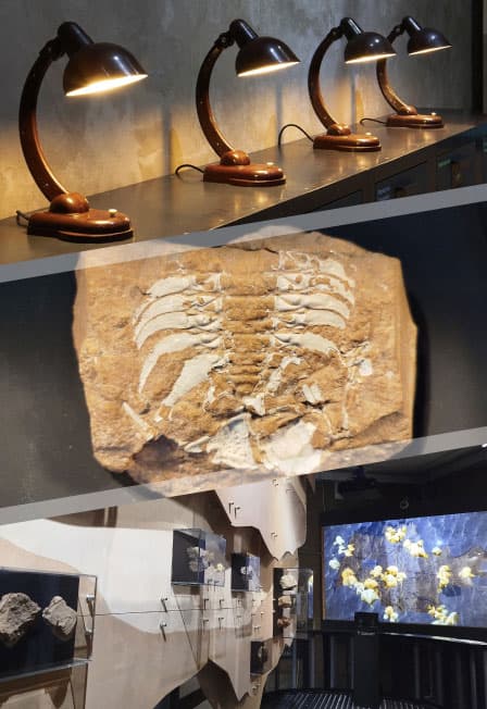 Сланцевский историко-краеведческий музей