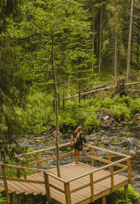 Дивный день в Карелии: водопады, хаски, водная прогулка на драккаре к форелевой ферме