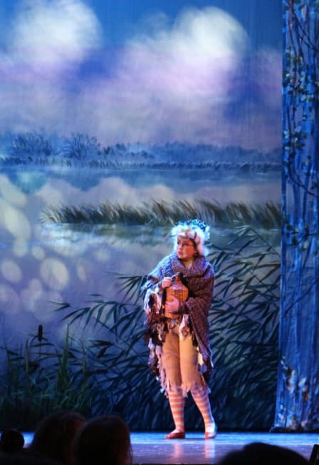 Гадкий утёнок