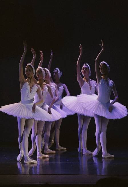 Балетный спектакль "Лебединое озеро"