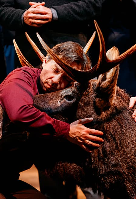 Утиная охота