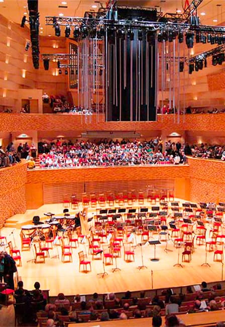 Концерт оркестра Мариинского театра