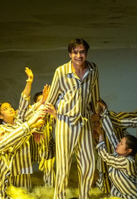 Звериные истории