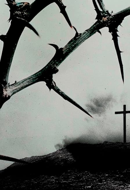 Бах. Страсти по Иоанну