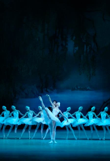 Лебединое озеро