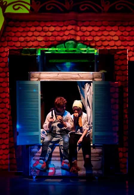 Разыскивается Карлсон