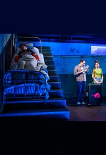 Как Зоя гусей кормила