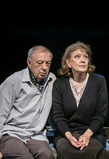 Земля Эльзы