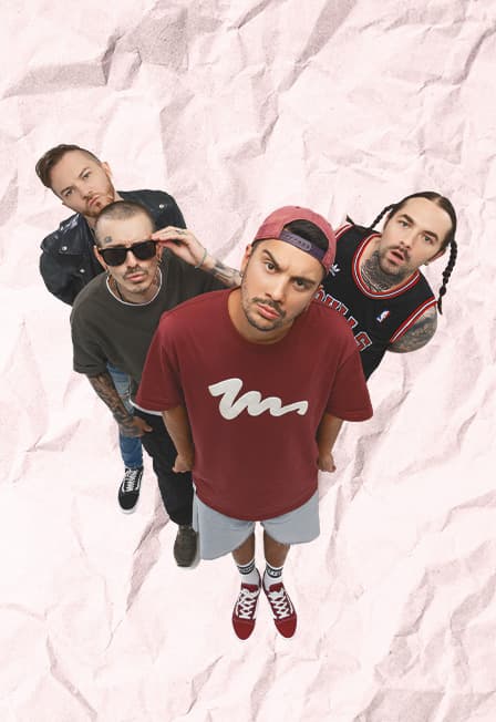 ROCK PRIVET НА ROOF PLACE