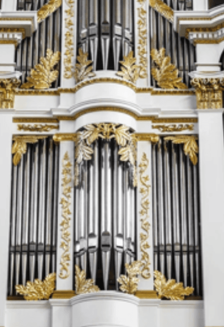 Александр Фисейский. Орган