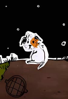 Умная собачка Соня