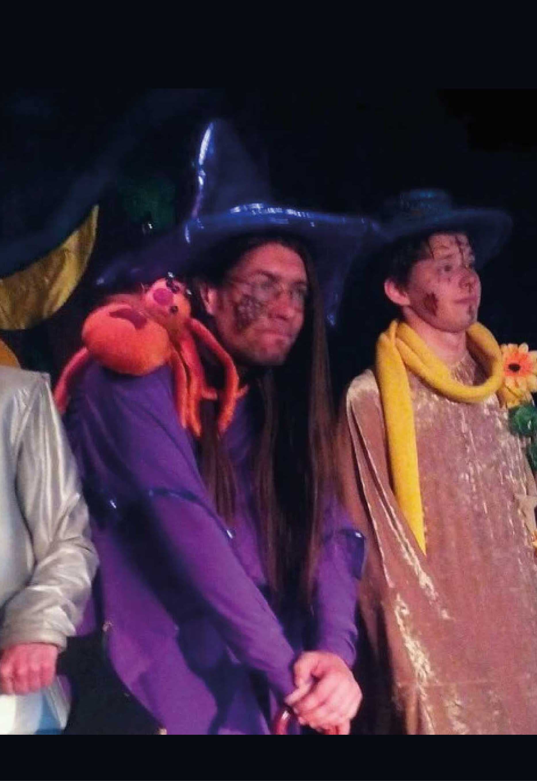 Изумрудный город. Путь домой