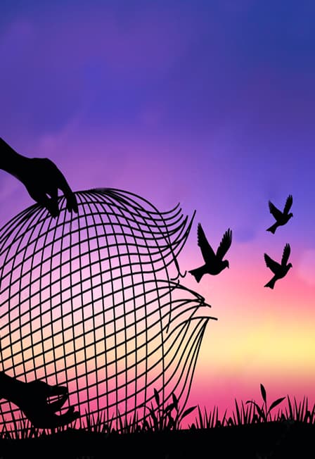 Зона комфорта