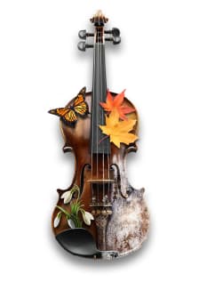 Времена года. Оркестр Империал