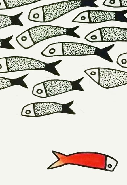 КТО ВЫ, МСЬЕ ШМИТТ?