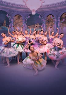 Спящая Красавица. Классический балет с видеоэффектами.