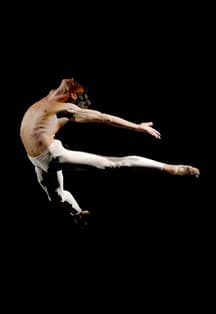 Чайка. Балетная история