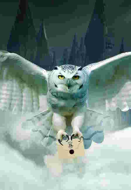 Гарри Поттер. Оркестр Sonorus