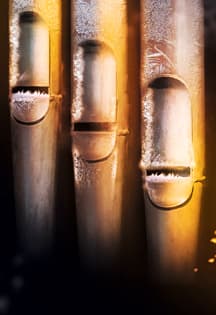 Орган. В предчувствии Рождества