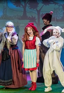 Сказка о Красной Шапочке