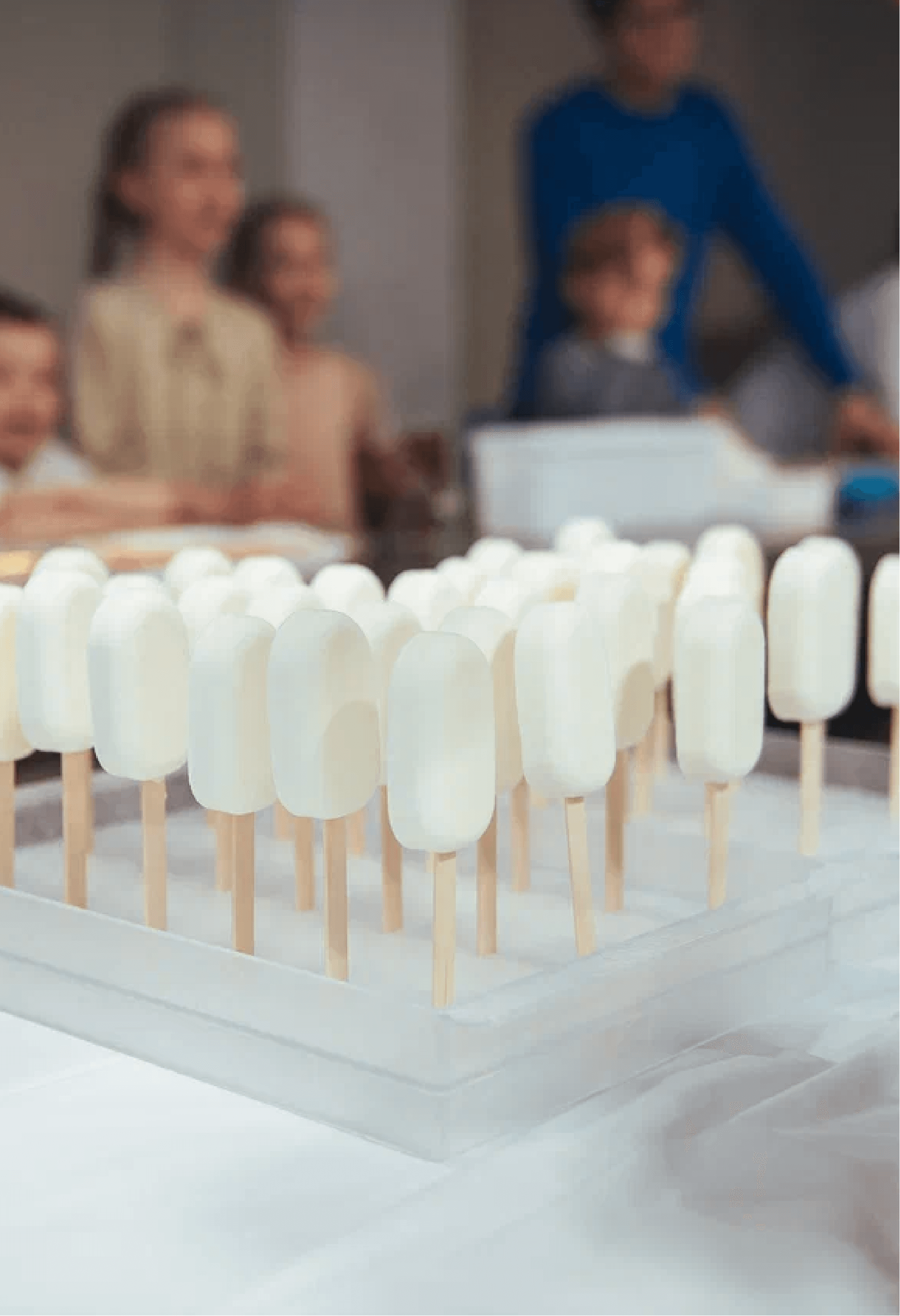 Экскурсия на фабрику мороженого Джельмино с дегустацией