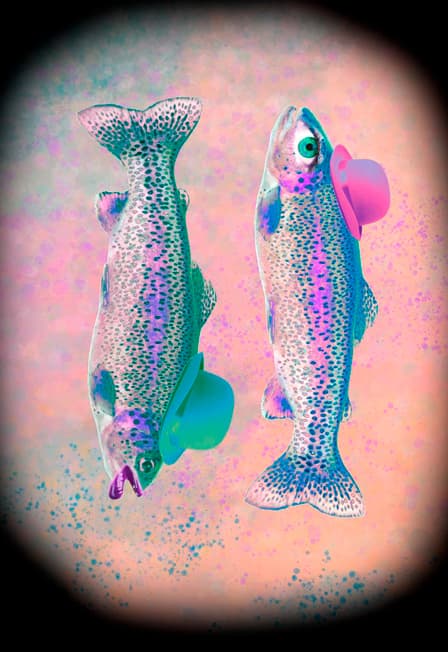 Ловля форели на рассвете