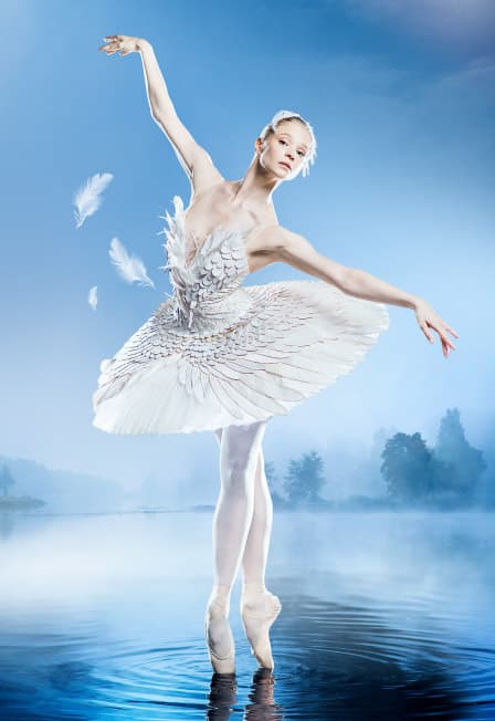 Лебединое озеро