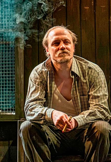 Любовь и голуби