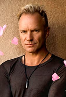 STING &amp; friends (tribute) в тёплом салоне теплохода на маршруте "Большое Петербургское кольцо"