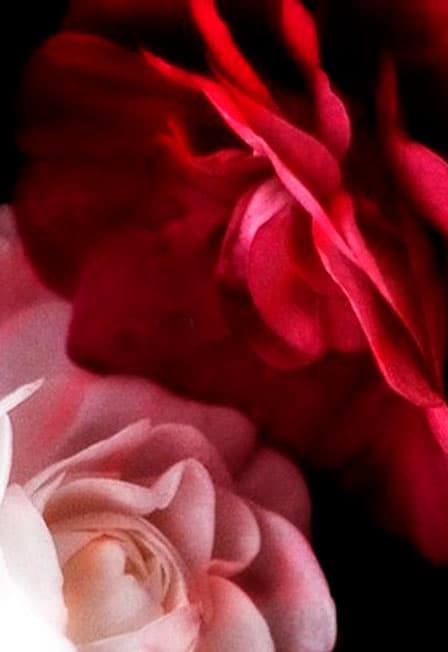 Иоланта (п.с)