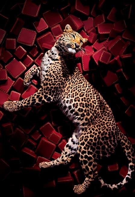 «Cartier: история роскоши»: авторская лекция Миланы Каурин