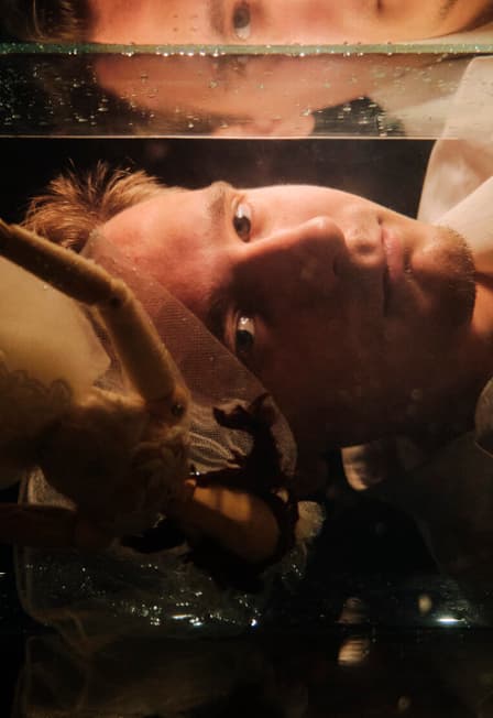 Медный всадник