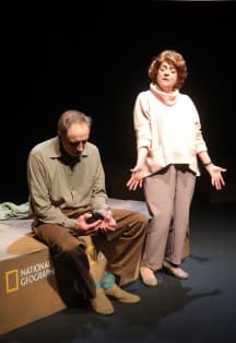 Мухи тоже умеют целоваться