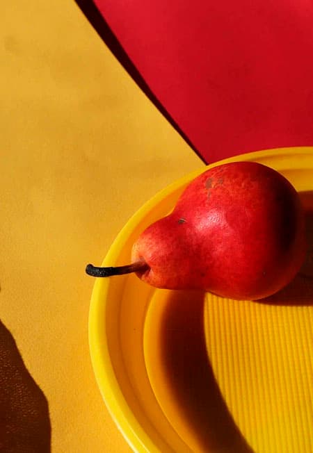 Цветотерапия. Выставка художественной фотографии Ирины Лобановой