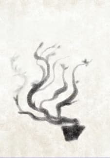 Мастерская: Икебаны с мятой